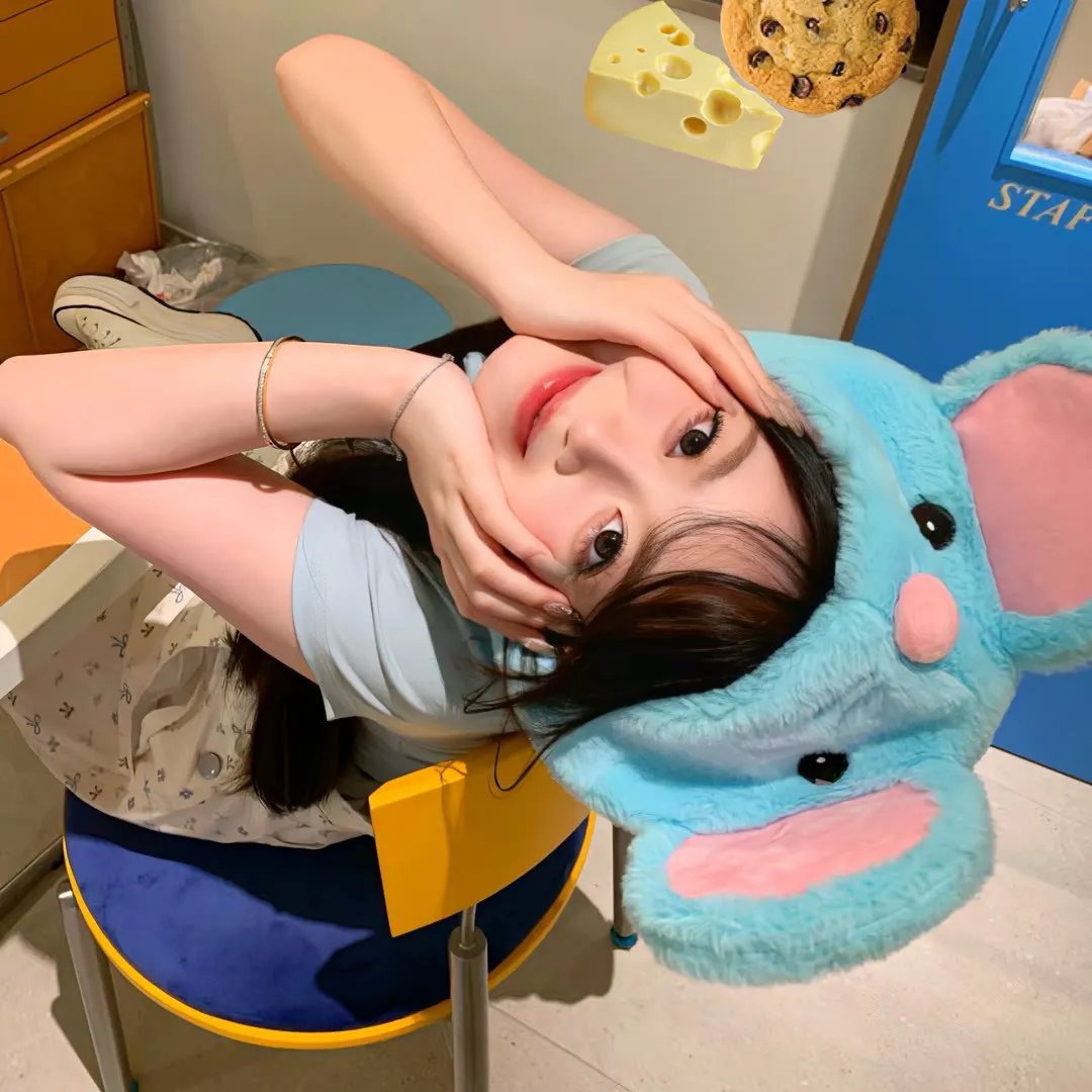 猫咪寻熊记