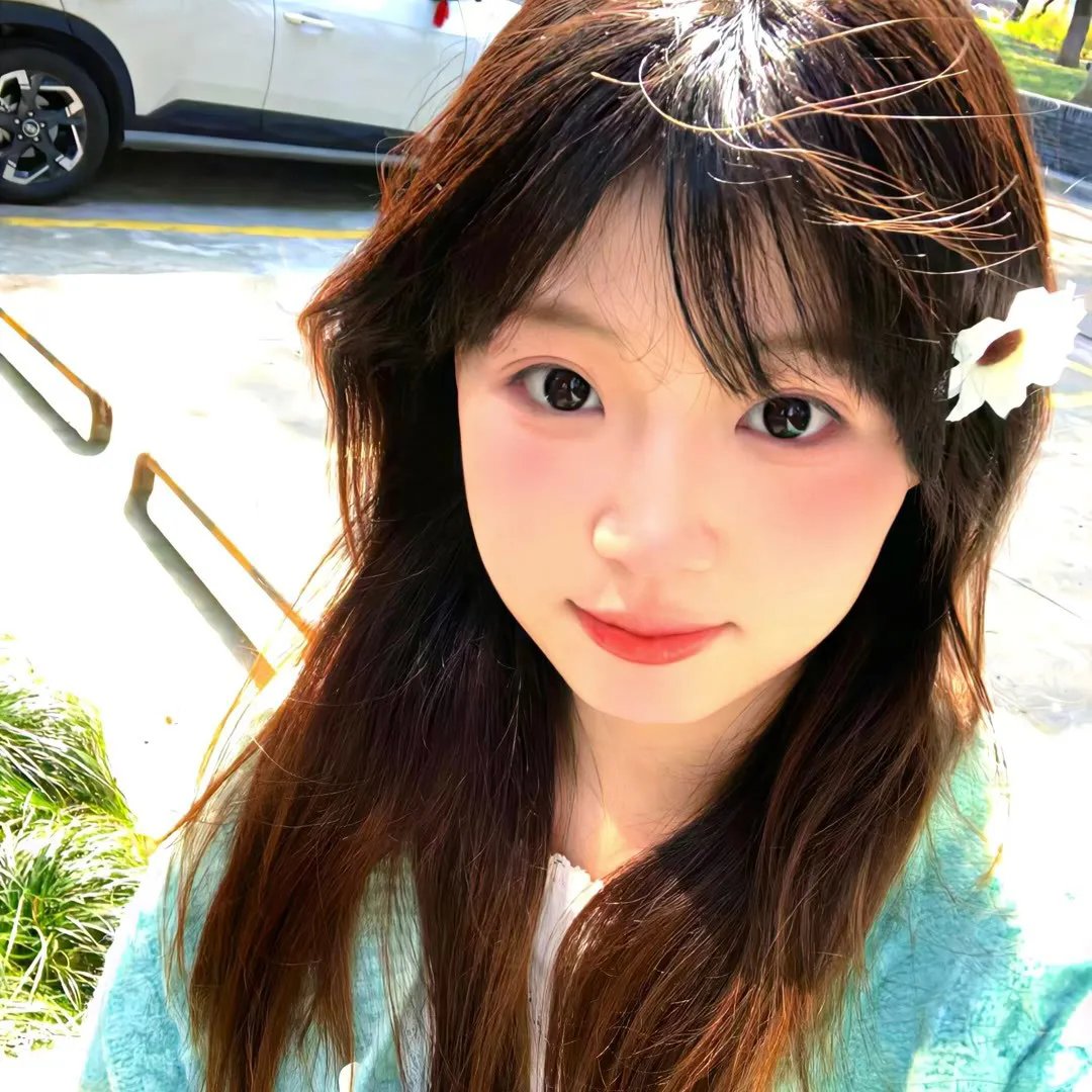 夜晚开的花